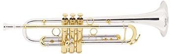 Conn Professional Vintage One Trumpet - 1BSSPG