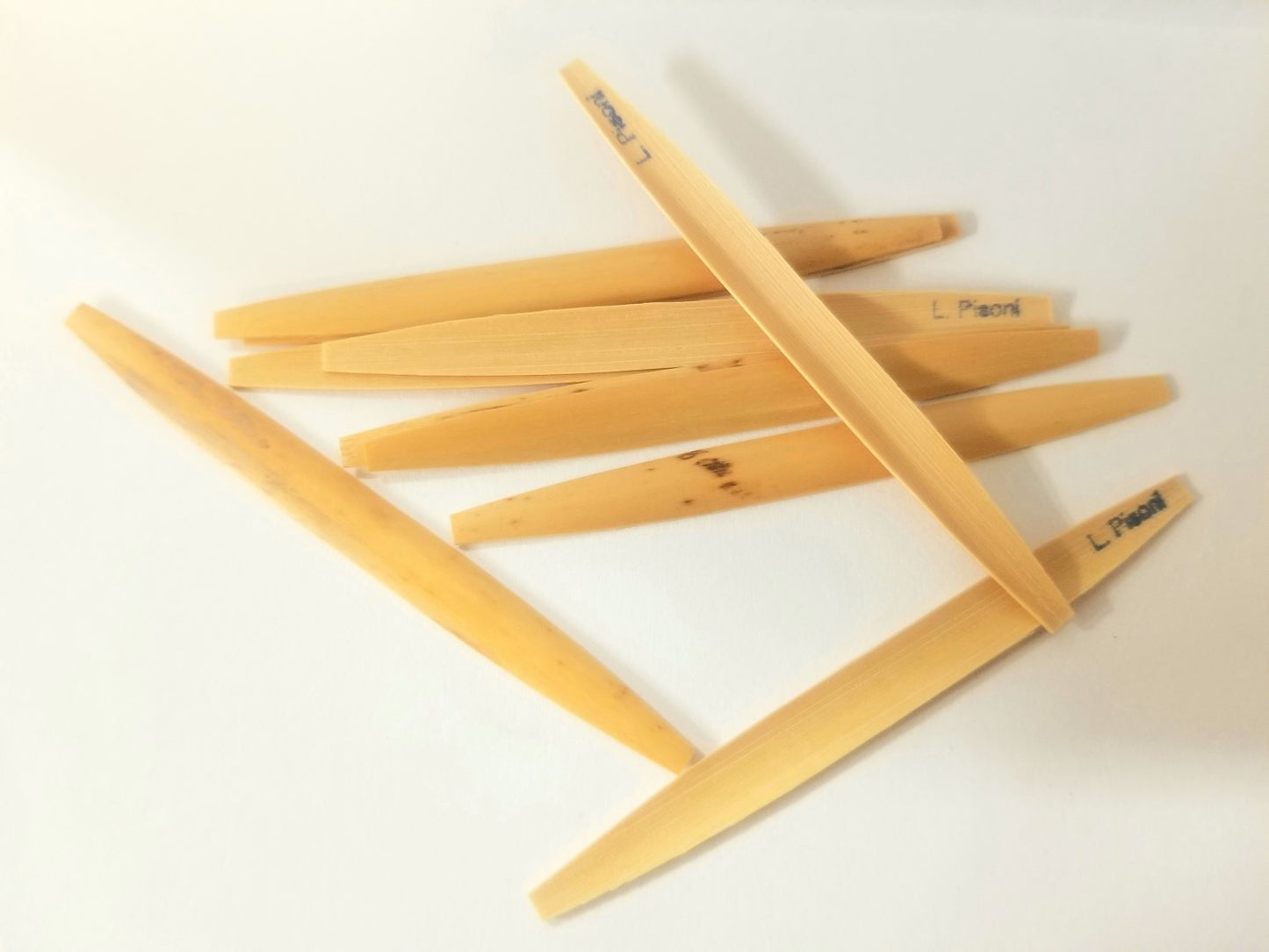 Pisoni Oboe Cane Gouged and Shape - #67