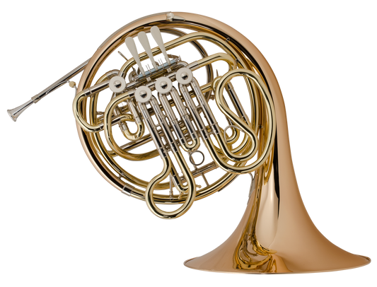 Holton Farkas Double Horn in F/B♭ H181