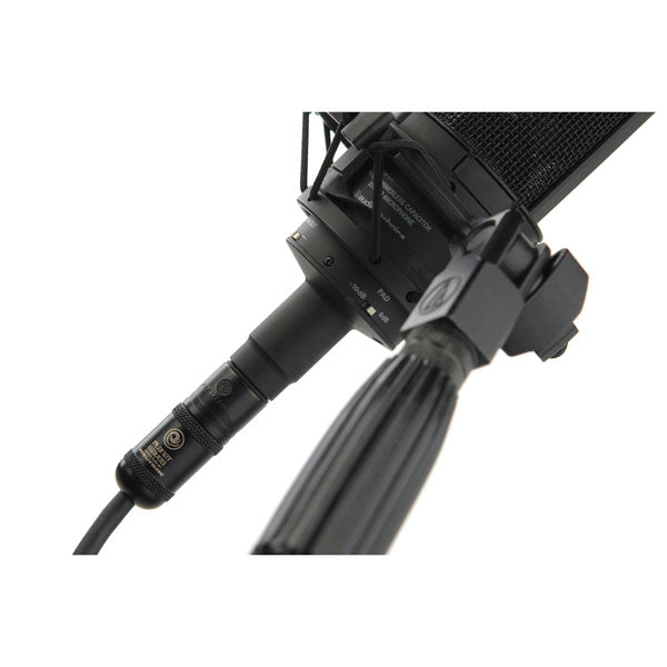 D'Addario American Stage Series XLR Cable, 5 feet - PW-AMSM-05