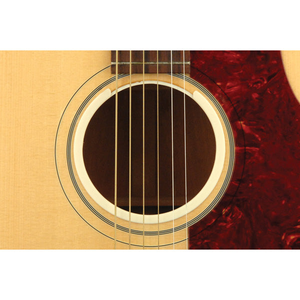 D'addario Planet Waves O-Port