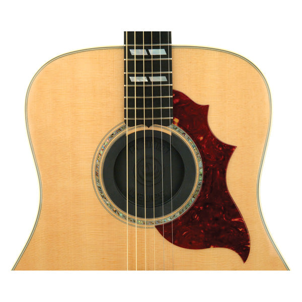 D'addario Planet Waves - Screeching Halt Acoustic Soundhole Cover