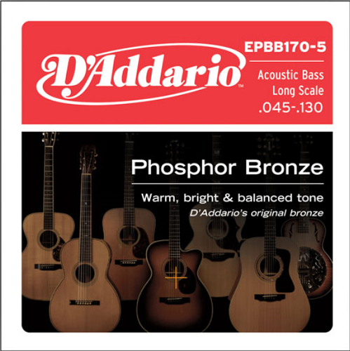 D'Addario Phosphor Bronze 5-String, Long Scale, 45-130 Acoustic Bass Gutiar Strings