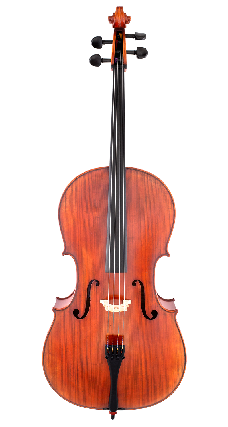 Scherl & Roth SR75 Advanced Cello