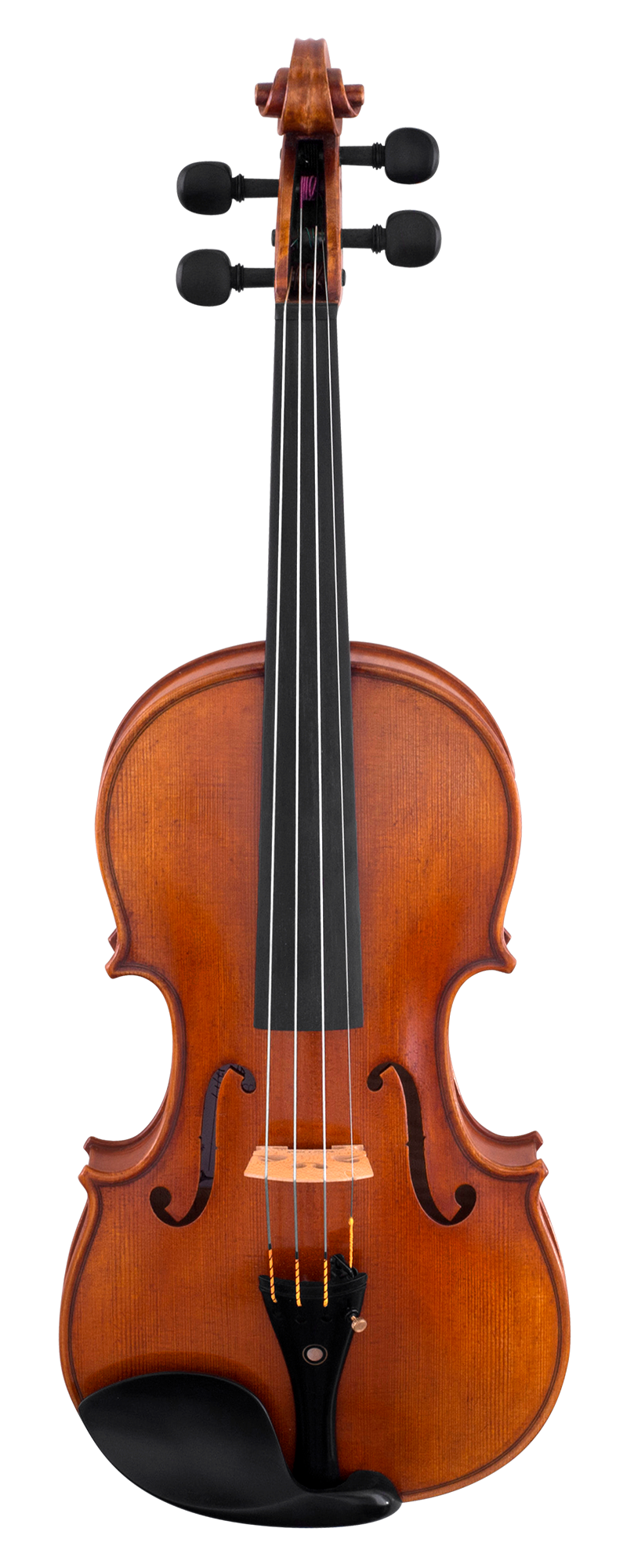 Scherl and Roth Violin SR81 Advanced Violin