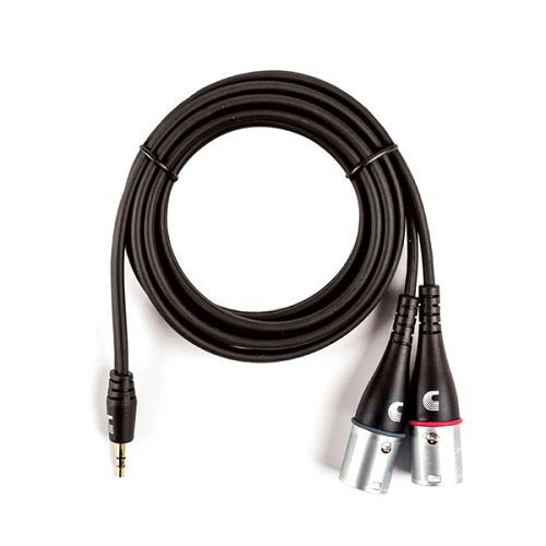 D'Addario Custom Series 1/8" to Dual XLR Audio Cable