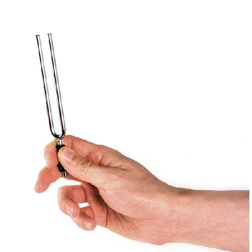 D'Addario Planet Waves Tuning Fork IN the Key of A