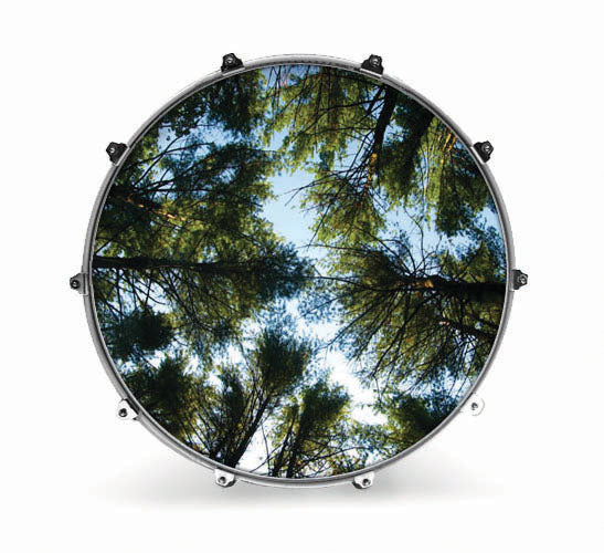 Evans Nature Bass Drum Head - Tree 2