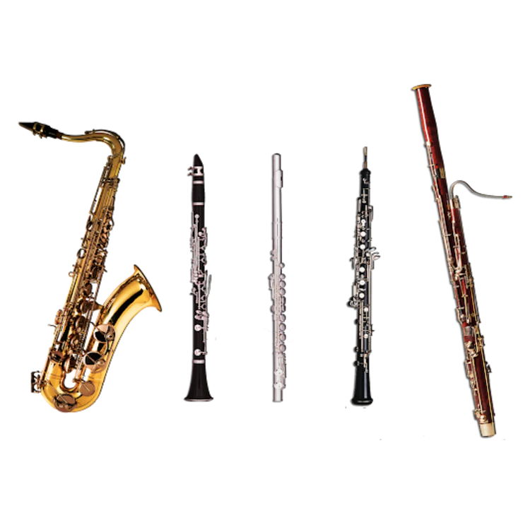 Woodwind Cases