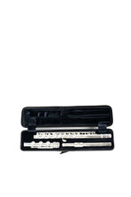 Load image into Gallery viewer, Bam Flute Hightech Case - 4009XL