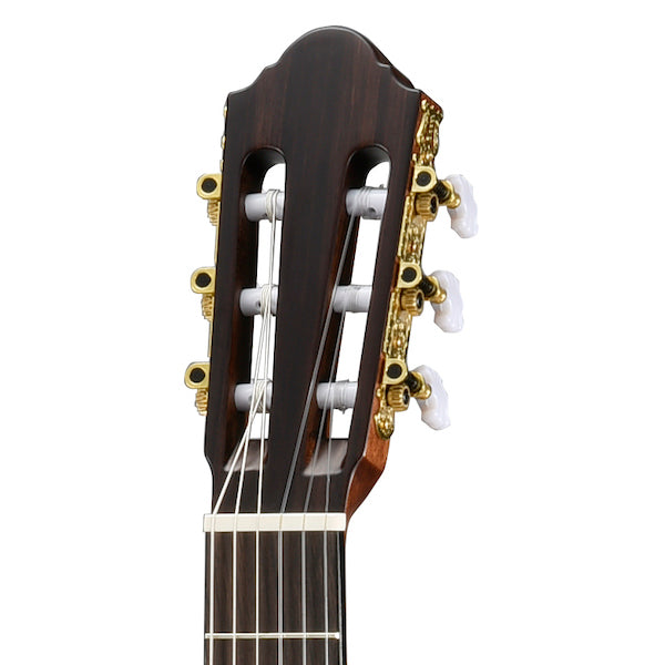 Walden N550E Classical Natura 500 Series Guitar