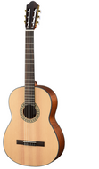 Walden N550E Classical Natura 500 Series Guitar