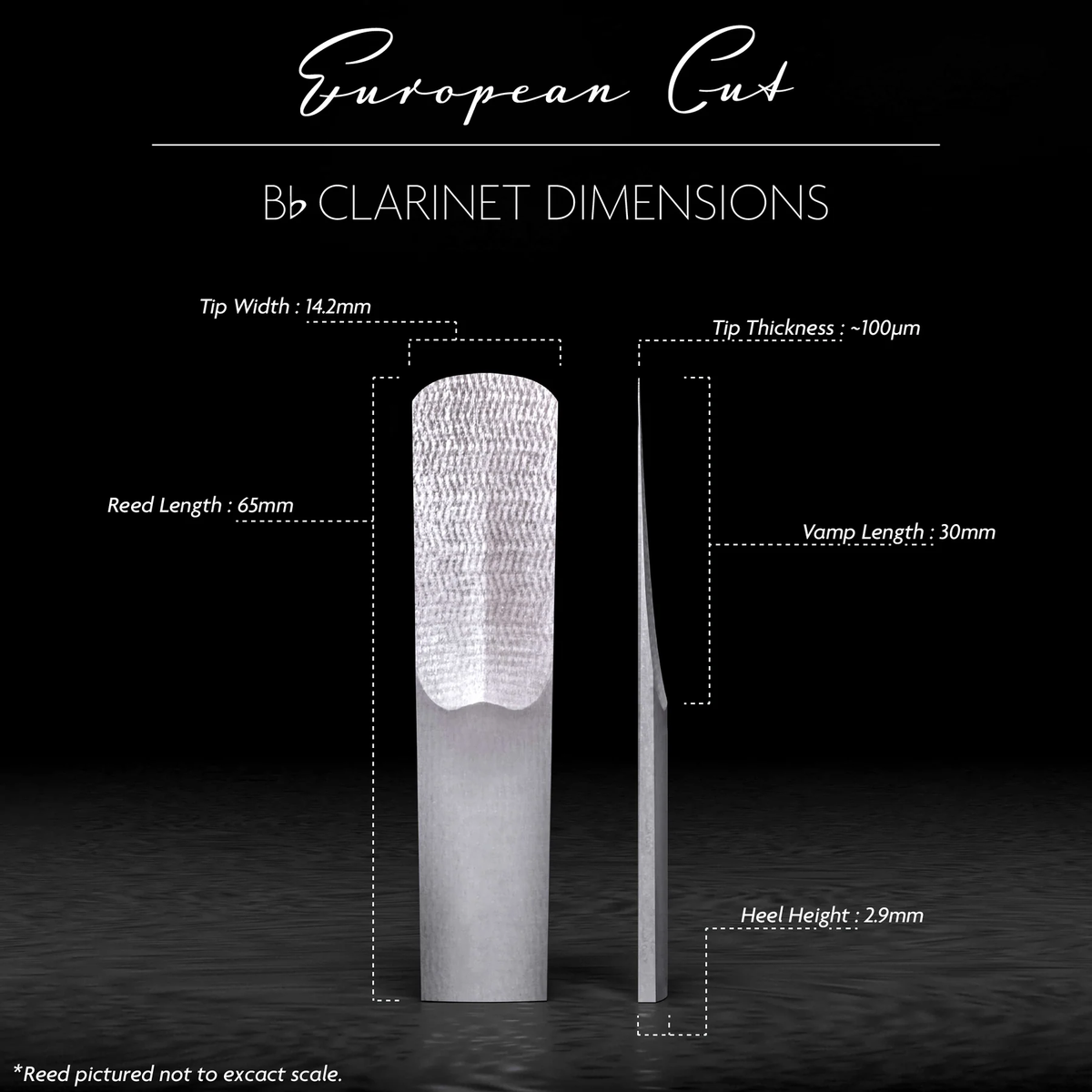 LEGERE Reeds BBF 3.25 - Anches Synthétiques Pour Clarinette Sib