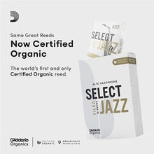 Load image into Gallery viewer, D&#39;Addario Organic Select Jazz Filed Alto Saxophone Reeds - 10 Per Box