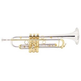 Conn Professional Vintage One Trumpet - 1BRSPG