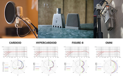 sE Electronics Multi Pattern Large Diaphragm Microphone with Titanium Capsule SE-T2