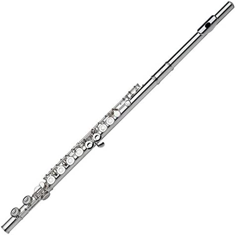 Gemeinhardt Flute (2SP) - C Foot - Silver Plated Head