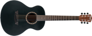 Washburn Apprentice Series Acoustic Guitar - Black Matte - AGM5BMK-A