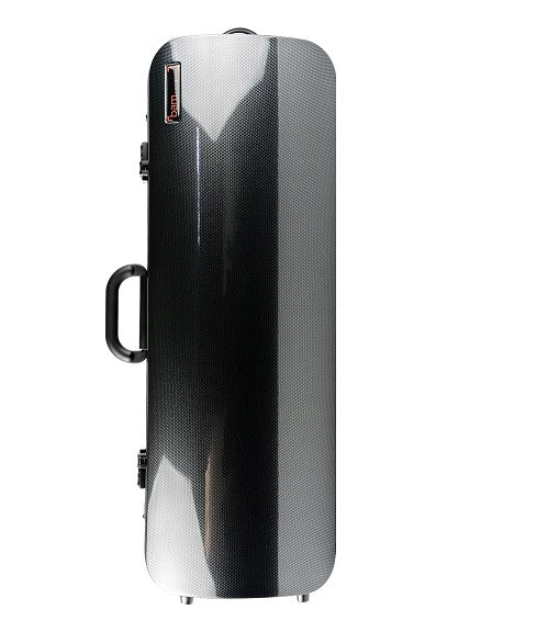 Bam HIGHTECH Viola Compact Size Oblong Case without pocket - 5201XL