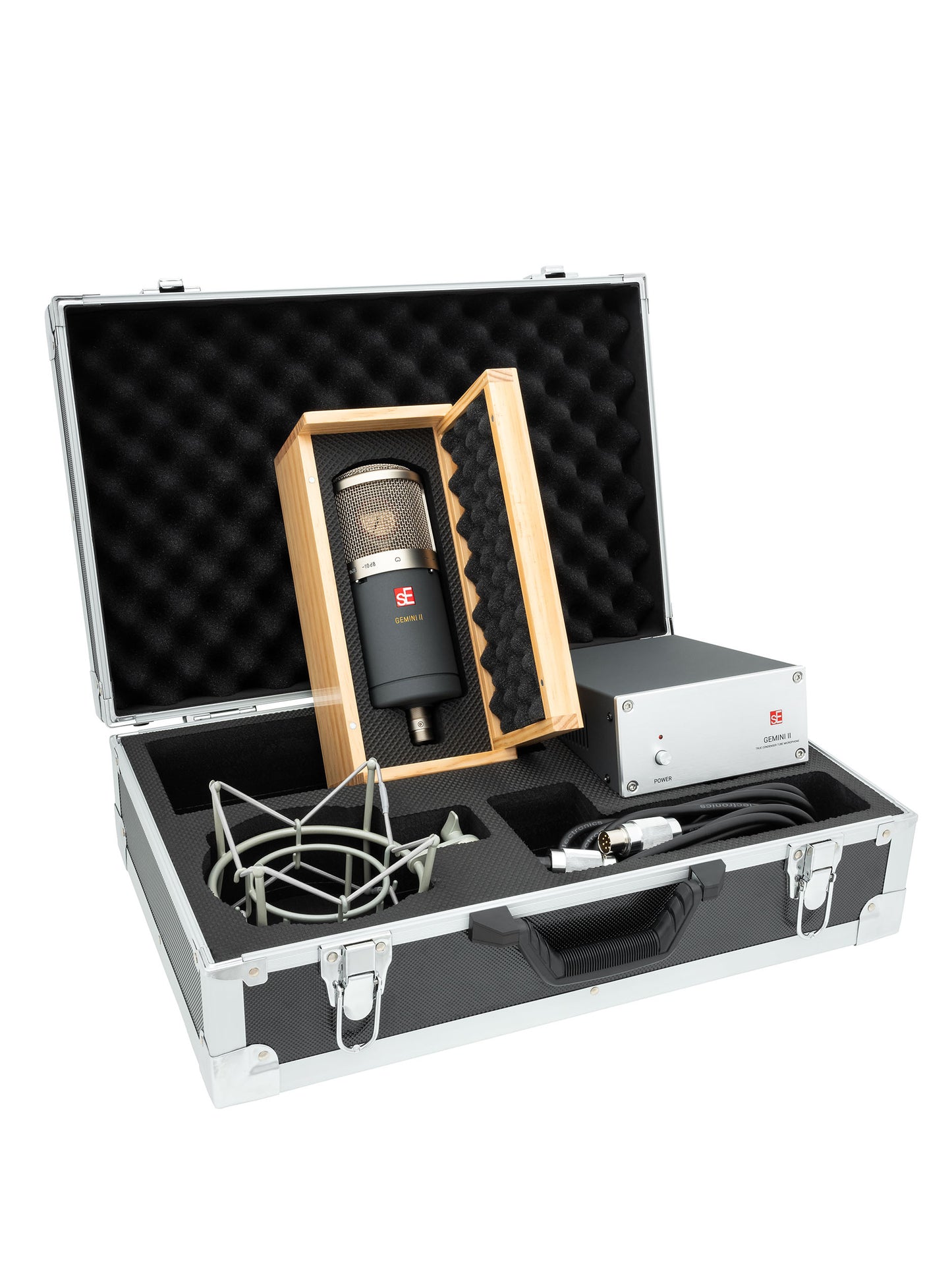 Dual Tube Cardioid Condenser Microphone with Shockmount and Case