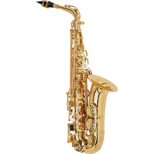 Load image into Gallery viewer, P. Mauriat Alto 67R Professional Alto Saxophones