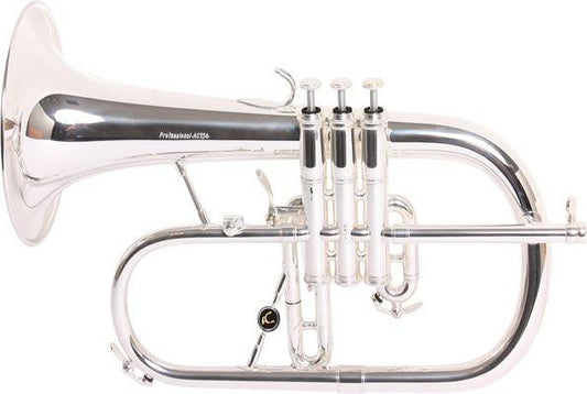 Antoine Courtois Professional Flugelhorn