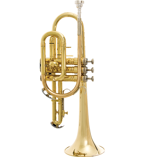 Bach Cornet Student CR300H