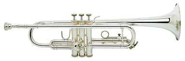 Bach Trumpet TR-300HS