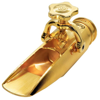 Theo Wanne Alto Saxophone Durga 5 Gold Plated Mouthpiece