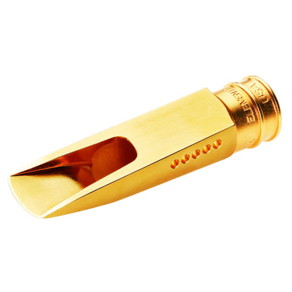 Theo Wanne Earth 2 Alto Saxophone Gold Plated Mouthpiece