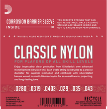 Load image into Gallery viewer, D&#39;Addario Student Nylon. Normal Tension Classical Guitar Strings EJ27N
