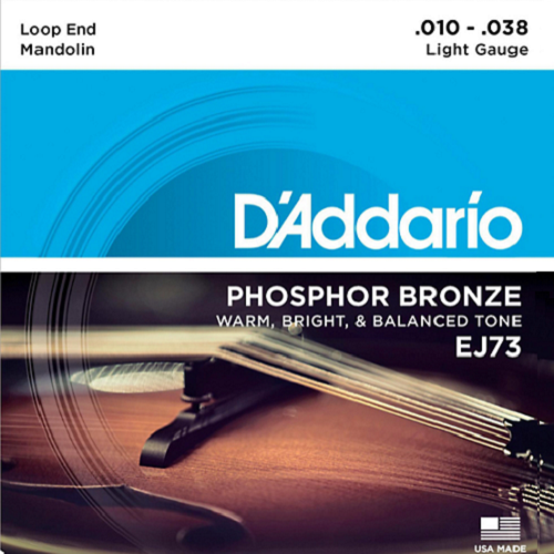 D'Addario EJ73 Phosphor Bronze Mandolin Strings, Light, 10-38