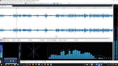 Sound Forge Audio Studio 12 Software
