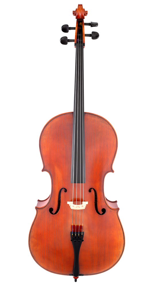 Scherl & Roth SR75 Advanced Cello