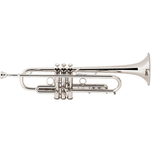 Load image into Gallery viewer, Bach BTR301 Student Series Bb Trumpet