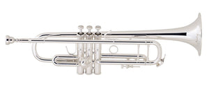 Bach Trumpet LT180S-43