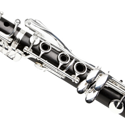 Buffet Crampon R13 Professional Bb Clarinet with Silver plated Keys Buffet Crampon R13 Professional Bb Clarinet with Silver plated Keys