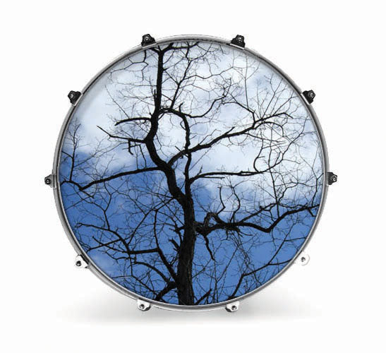 Evans Nature Bass Drum Head - Tree 1