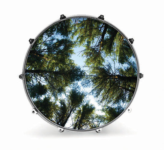 Evans Nature Bass Drum Head - Tree 2