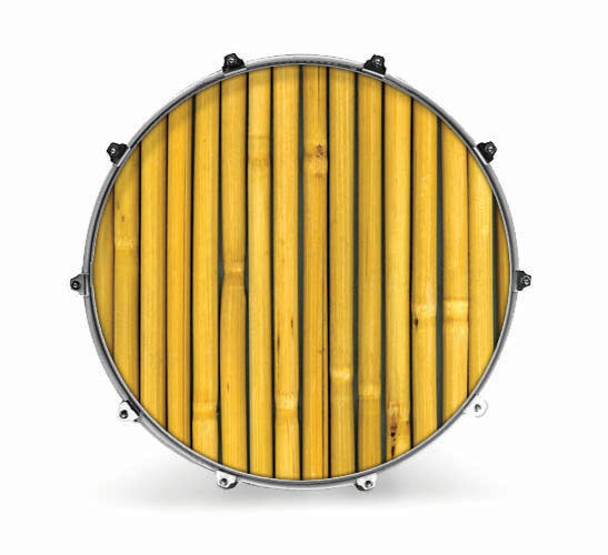 Evans Photography Series Bass Drum Head - Cane