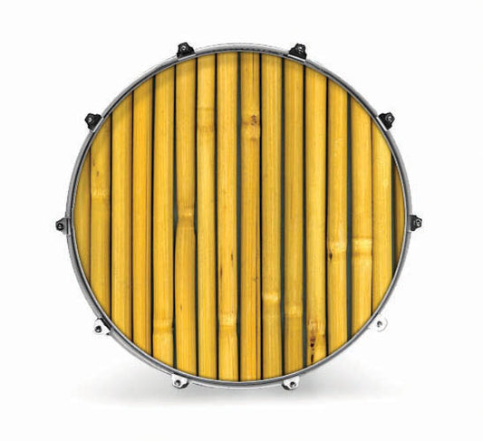 Evans Photography Series Bass Drum Head - Cane