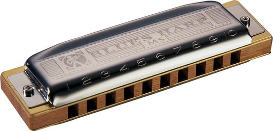 Hohner Harmonica Blues Harp Key of G