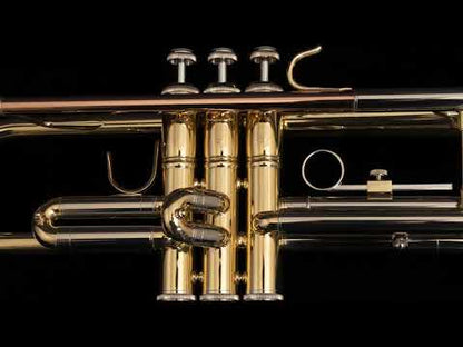 Bach 201 Student Trombone