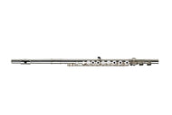 Gemeinhardt 3S Conservatory Model Flute with C-Foot and Gold Lip