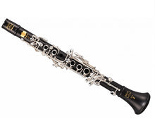 Load image into Gallery viewer, Patricola Professional Eb Clarinet