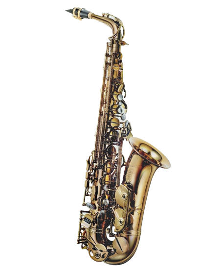 P. Mauriat PMSA-285 Alto Saxophone Grand Dreams