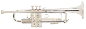 Bach Trumpet Professional Silver-Plated LR180S-72