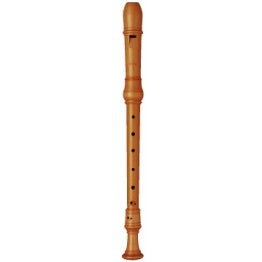 Moeck Rottenburgh BoxWood, 3 PIECE, Double HOLE, Curved WINDWAY, Soprano Recorder - 4204