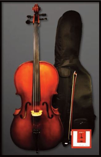 Rhapsody by Arlette Cello Outfit - Model 75 Hybrid