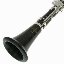 Load image into Gallery viewer, Buffet Crampon Tosca GreenLine A Clarinet